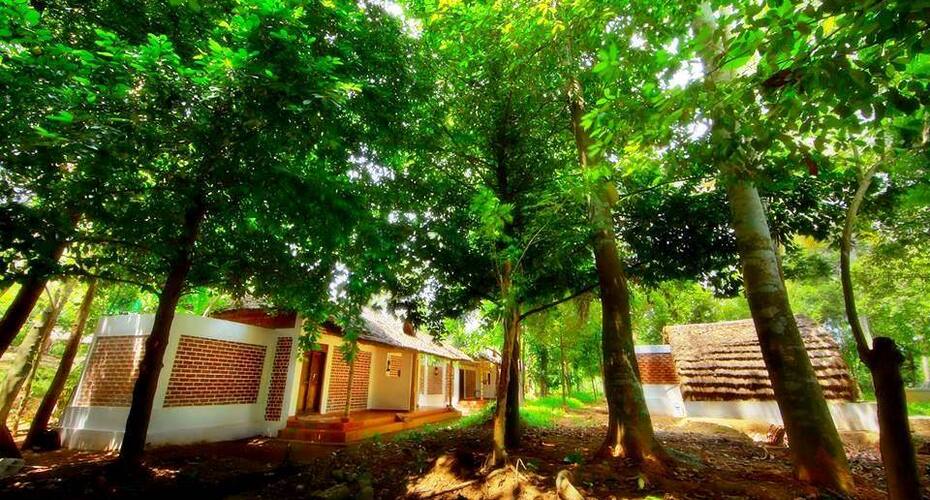Green Gram Wellness Village, Kochi 5